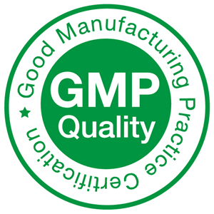 OPTİMİZE. gmp logo-min